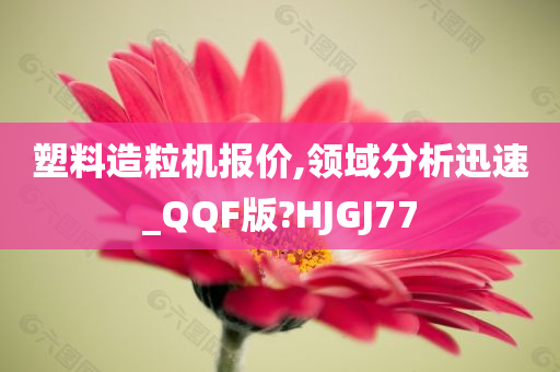 塑料造粒机
