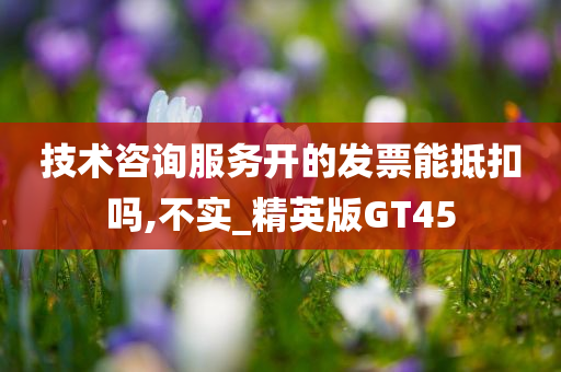 GT45 第4页