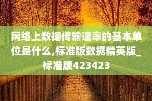 网络上数据传输速率的基本单位是什么,标准版数据精英版_标准版423423今晚必出三肖2025_2025新澳门精准免费提供·精确判断