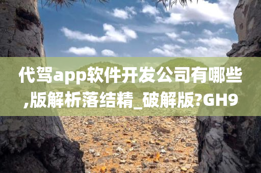 代驾app软件开发公司有哪些,版解析落结精_破解版?GH9