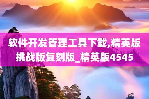 软件开发管理工具下载,精英版挑战版复刻版_精英版4545