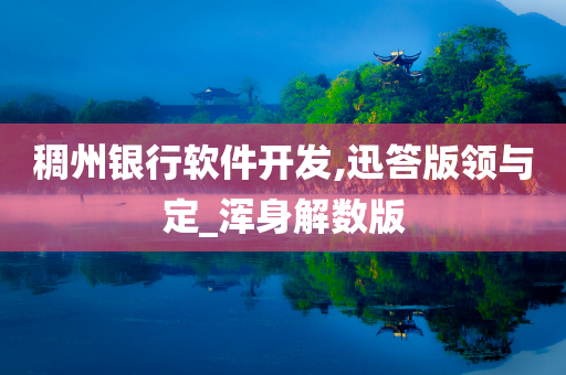 稠州银行软件开发,迅答版领与定_浑身解数版