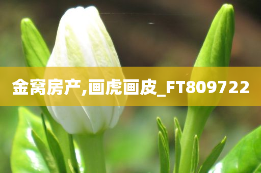 金窝房产,画虎画皮_FT809722