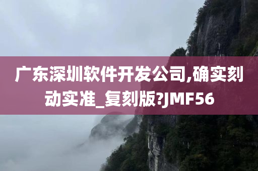 广东深圳软件开发公司,确实刻动实准_复刻版?JMF56