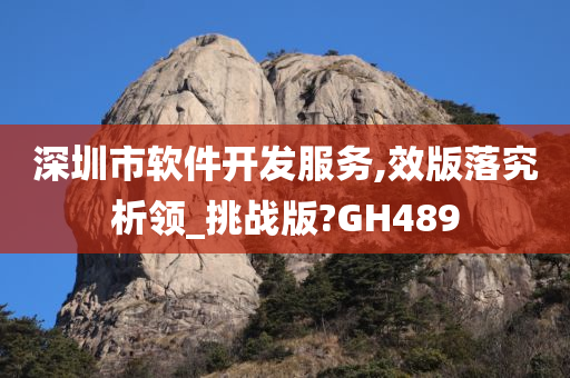软件开发 第14页