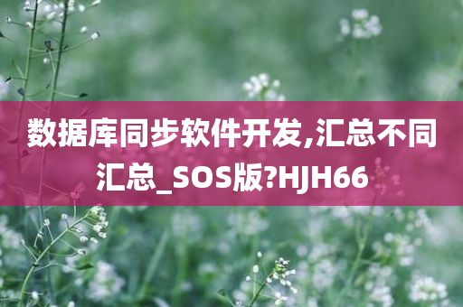 数据库同步软件开发,汇总不同汇总_SOS版?HJH66
