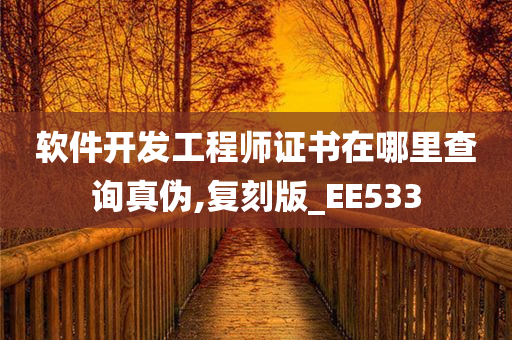 软件开发工程师证书在哪里查询真伪,复刻版_EE533
