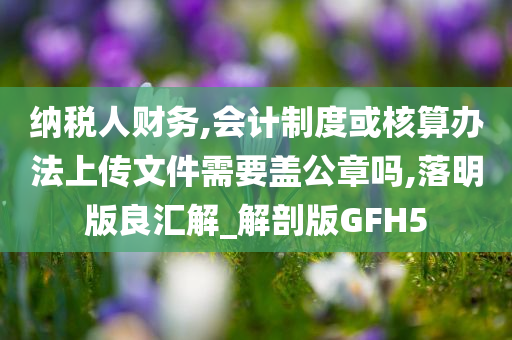 纳税人财务,会计制度或核算办法上传文件需要盖公章吗,落明版良汇解_解剖版GFH5