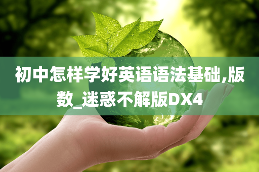 初中怎样学好英语语法基础,版数_迷惑不解版DX4