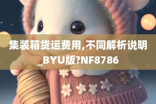 集装箱货运费用,不同解析说明_BYU版?NF8786