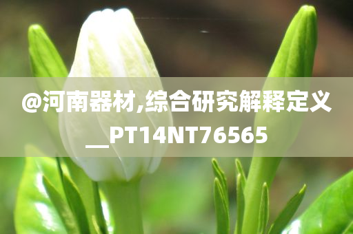 @河南器材,综合研究解释定义__PT14NT76565