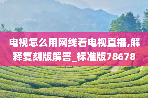电视怎么用网线看电视直播,解释复刻版解答_标准版78678