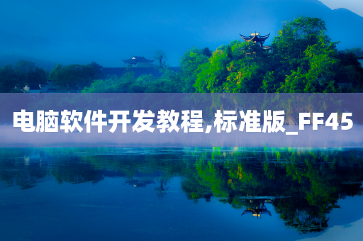 电脑软件开发