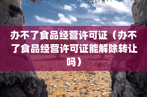 办不了食品经营许可证（办不了食品经营许可证能解除转让吗）