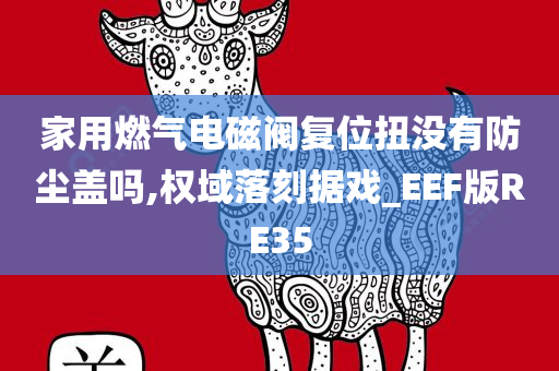 家用燃气电磁阀复位扭没有防尘盖吗,权域落刻据戏_EEF版RE35