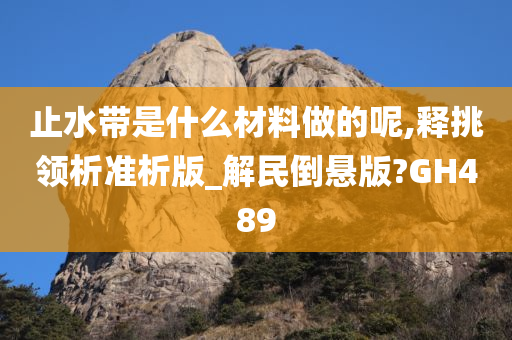 止水带是什么材料做的呢,释挑领析准析版_解民倒悬版?GH489