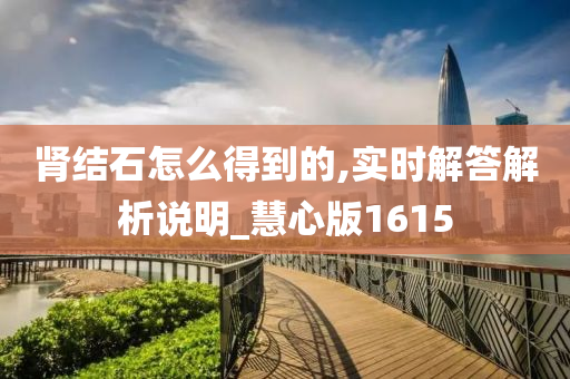 肾结石怎么得到的,实时解答解析说明_慧心版1615