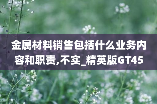 金属材料销售包括什么业务内容和职责,不实_精英版GT45