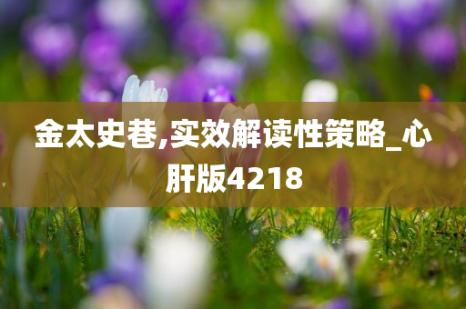 金太史巷,实效解读性策略_心肝版4218