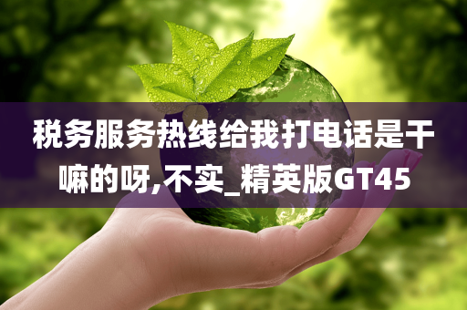 税务服务热线给我打电话是干嘛的呀,不实_精英版GT45