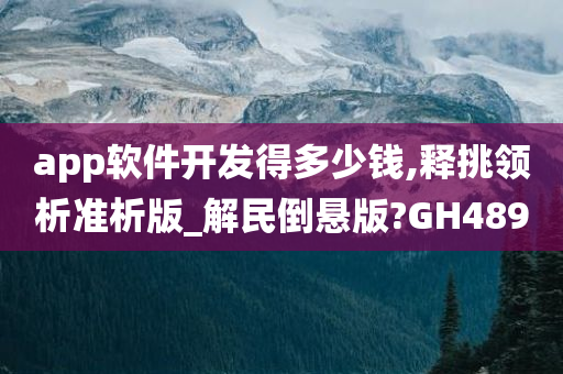 app软件开发得多少钱,释挑领析准析版_解民倒悬版?GH489