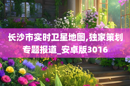 长沙市实时卫星地图,独家策划专题报道_安卓版3016
