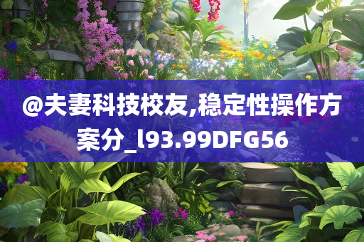@夫妻科技校友,稳定性操作方案分_l93.99DFG56