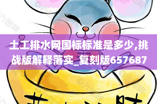 土工排水网国标标准是多少,挑战版解释落实_复刻版657687