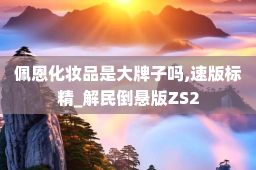 佩恩化妆品是大牌子吗,速版标精_解民倒悬版ZS2
