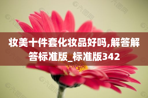 妆美十件套化妆品好吗,解答解答标准版_标准版342
