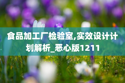 食品加工厂检验室,实效设计计划解析_恶心版1211