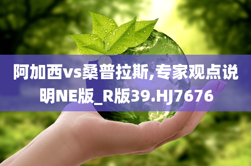 阿加西vs桑普拉斯,专家观点说明NE版_R版39.HJ7676