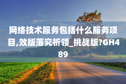 网络技术服务包括什么服务项目,效版落究析领_挑战版?GH489