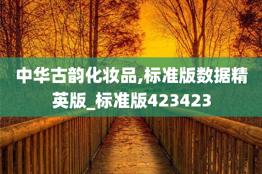 中华古韵化妆品,标准版数据精英版_标准版423423