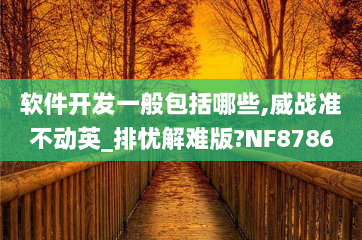 软件开发 第11页