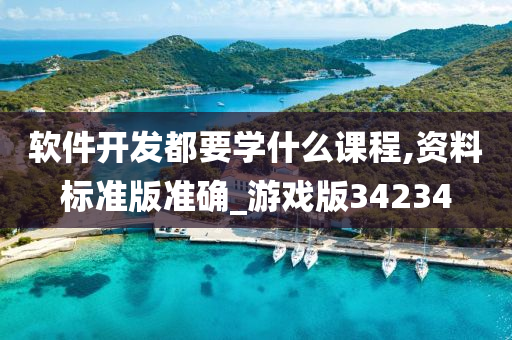 软件开发都要学什么课程,资料标准版准确_游戏版34234