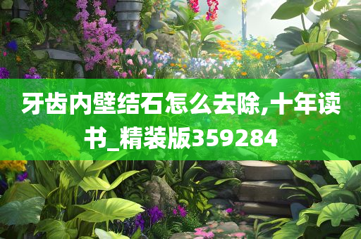 牙齿内壁结石怎么去除,十年读书_精装版359284