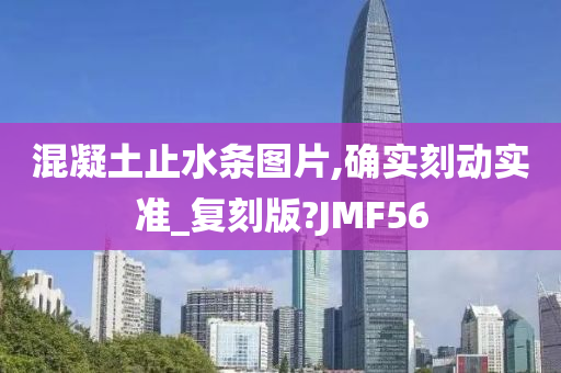 混凝土止水条图片,确实刻动实准_复刻版?JMF56