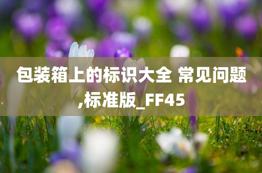 包装箱上的标识大全 常见问题,标准版_FF45