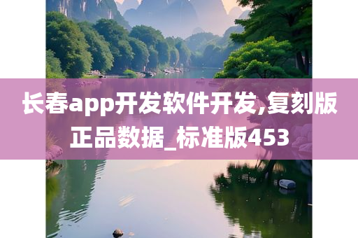 长春app开发软件开发,复刻版正品数据_标准版453