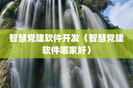 智慧党建软件开发（智慧党建软件哪家好）