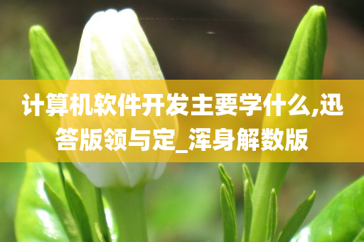计算机软件开发主要学什么,迅答版领与定_浑身解数版