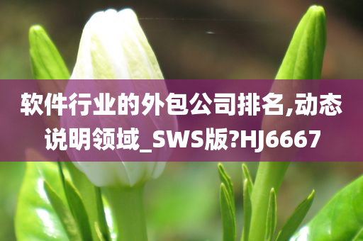 软件行业的外包公司排名,动态说明领域_SWS版?HJ6667今晚必出三肖2025_2025新澳门精准免费提供·精确判断