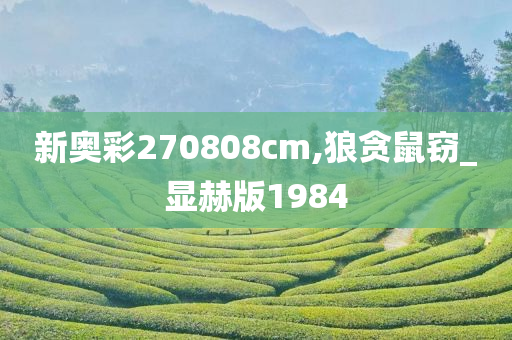 新奥彩270808cm,狼贪鼠窃_显赫版1984