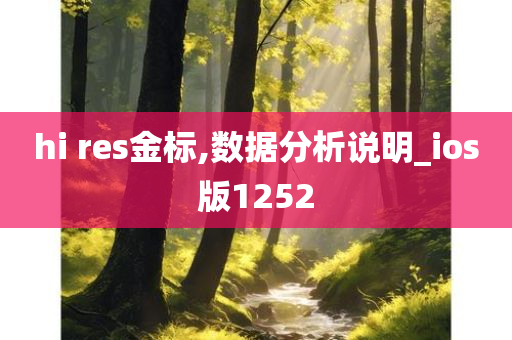 hi res金标,数据分析说明_ios版1252