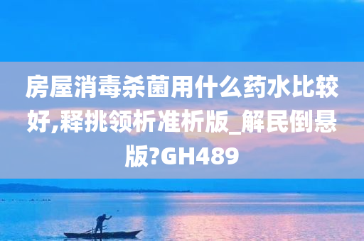 GH489 第3页