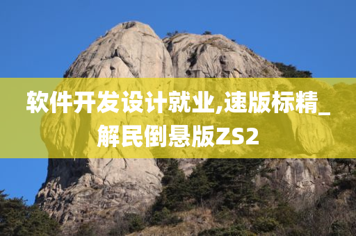 软件开发设计就业,速版标精_解民倒悬版ZS2