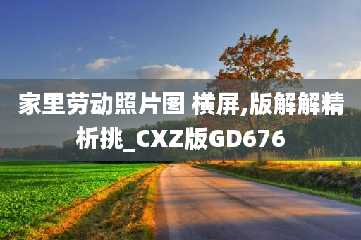 家庭劳动