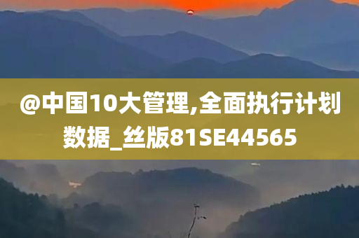 @中国10大管理,全面执行计划数据_丝版81SE44565