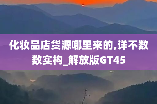 化妆品店货源哪里来的,详不数数实构_解放版GT45
